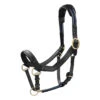 Halster Rambo Micklem Zwart