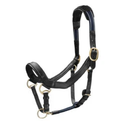 Halster Rambo Micklem Zwart