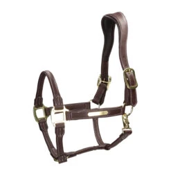 Halster SKØL Söt Bruin