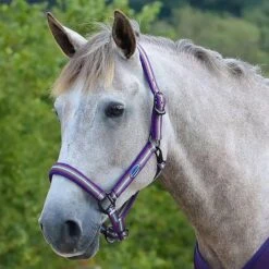 Halster WeatherBeeta Coordinate Paars-bruin