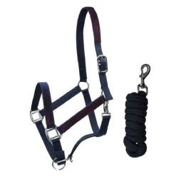 Halsterset Epplejeck EJGlitter Paars