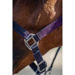Halsterset Epplejeck EJGlitter Paars -Weath Paard Winkel halsterset epplejeck ejglitter paars 1500x1500 168261