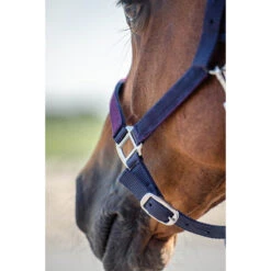 Halsterset Epplejeck EJGlitter Paars -Weath Paard Winkel halsterset epplejeck ejglitter paars 1500x1500 168262