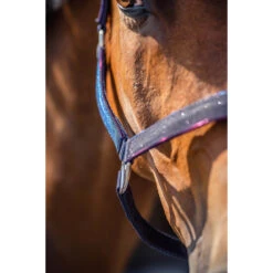 Halsterset Epplejeck EJGlitter Paars -Weath Paard Winkel halsterset epplejeck ejglitter paars 1500x1500 168264