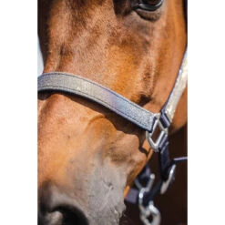 Halsterset Epplejeck EJGlitter Zilver -Weath Paard Winkel halsterset epplejeck ejglitter zilver 1500x1500 168266