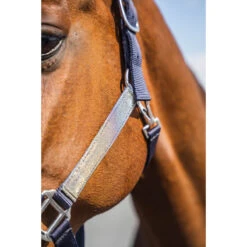 Halsterset Epplejeck EJGlitter Zilver -Weath Paard Winkel halsterset epplejeck ejglitter zilver 1500x1500 168267