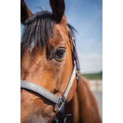 Halsterset Epplejeck EJGlitter Zilver -Weath Paard Winkel halsterset epplejeck ejglitter zilver 1500x1500 168268