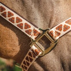 Halsterset Epplejeck EJShittz Multicolor -Weath Paard Winkel halsterset epplejeck ejshittz multicolor 1500x1500 173436