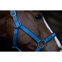 Halsterset Equestrian Stockholm Amalfi Coast Blauw -Weath Paard Winkel halsterset equestrian stockholm amalfi coast blauw 1500x1500 186711
