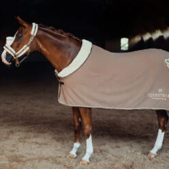 Halsterset Equestrian Stockholm Champagne Middenbruin -Weath Paard Winkel halsterset equestrian stockholm champagne middenbruin 1500x1500 147614