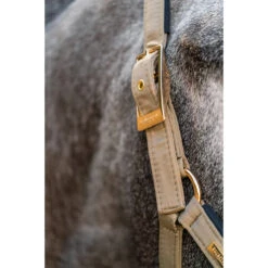 Halsterset Equestrian Stockholm Chantelle Lichtbruin -Weath Paard Winkel halsterset equestrian stockholm chantelle lichtbruin 1500x1500 153795