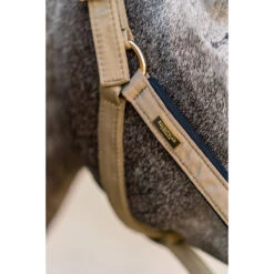 Halsterset Equestrian Stockholm Chantelle Lichtbruin -Weath Paard Winkel halsterset equestrian stockholm chantelle lichtbruin 1500x1500 153796