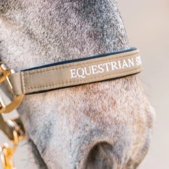 Halsterset Equestrian Stockholm Chantelle Lichtbruin -Weath Paard Winkel halsterset equestrian stockholm chantelle lichtbruin 1500x1500 153797