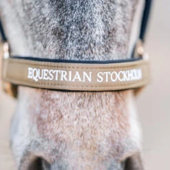 Halsterset Equestrian Stockholm Chantelle Lichtbruin -Weath Paard Winkel halsterset equestrian stockholm chantelle lichtbruin 1500x1500 153798