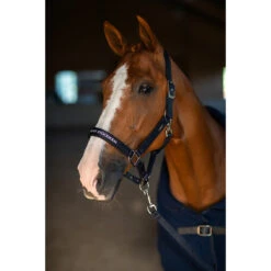 Halsterset Equestrian Stockholm Modern Tech Navy Donkerblauw -Weath Paard Winkel halsterset equestrian stockholm modern tech navy donkerblauw 1500x1500 183083