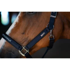 Halsterset Equestrian Stockholm Modern Tech Navy Donkerblauw -Weath Paard Winkel halsterset equestrian stockholm modern tech navy donkerblauw 1500x1500 183085