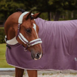 Halsterset Equestrian Stockholm Orchid Bloom Paars -Weath Paard Winkel halsterset equestrian stockholm orchid bloom paars 1500x1500 147481