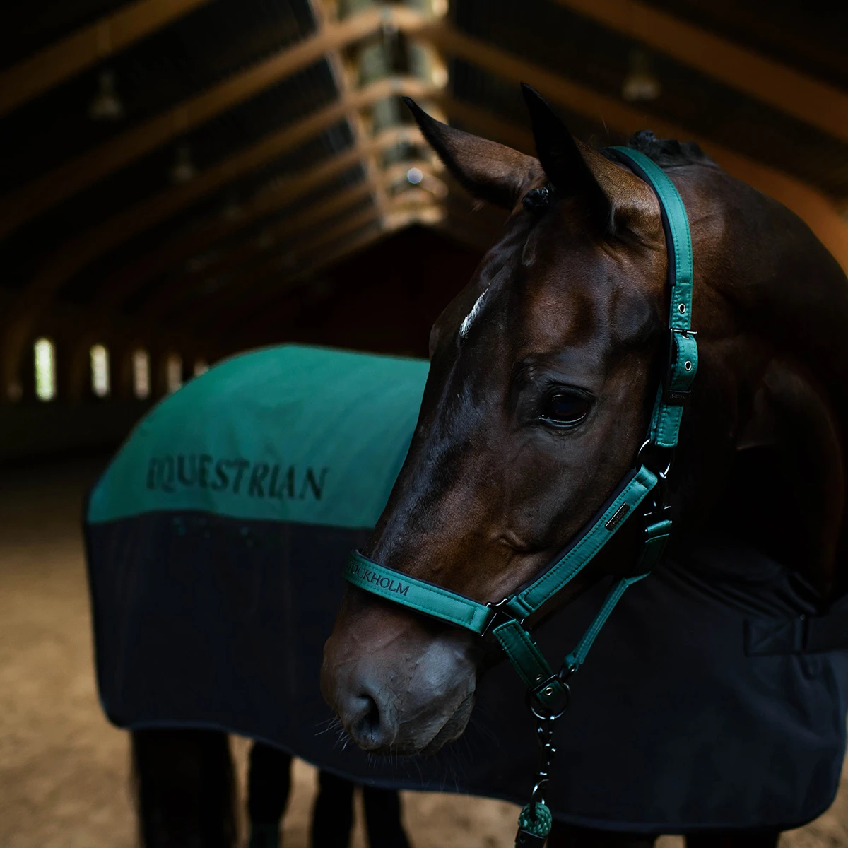 Halsterset Equestrian Stockholm Sycamore Green Groen 2 Halsterset Equestrian Stockholm Sycamore Green Groen - Afbeelding 2