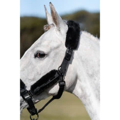 Halsterset Equestrian Stockholm Total Eclipse Zwart -Weath Paard Winkel halsterset equestrian stockholm total eclipse zwart 1500x1500 153950