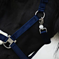 Halsterset Friesian Horse By Horsegear Donkerblauw -Weath Paard Winkel halsterset friesian horse by horsegear donkerblauw 1500x1500 173370