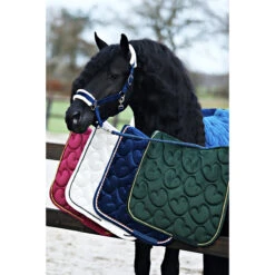 Halsterset Friesian Horse By Horsegear Donkerblauw -Weath Paard Winkel halsterset friesian horse by horsegear donkerblauw 1500x1500 173371
