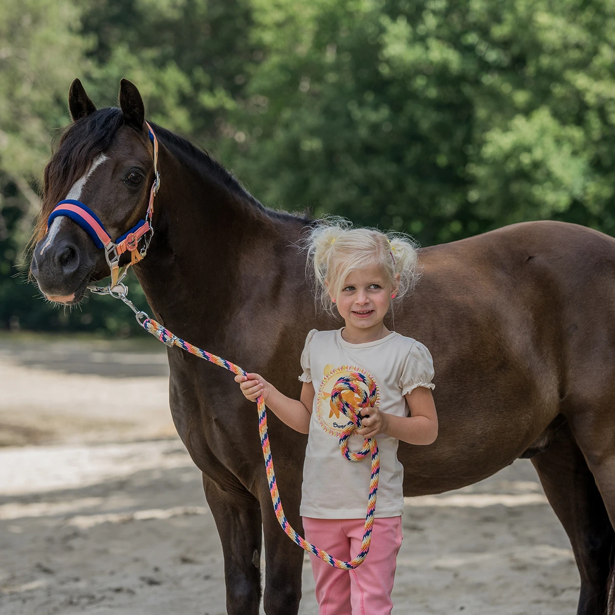 Halsterset Horka Jolly Oranje 3 Halsterset Horka Jolly Oranje - Afbeelding 3
