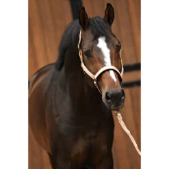 Halsterset Horsegear HGSparkle Brons -Weath Paard Winkel halsterset horsegear hgsparkle brons 1500x1500 169451