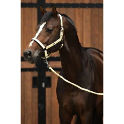 Halsterset Horsegear HGSparkle Goud -Weath Paard Winkel halsterset horsegear hgsparkle goud 1500x1500 169449