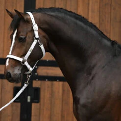 Halsterset Horsegear HGSparkle Zilver -Weath Paard Winkel halsterset horsegear hgsparkle zilver 1500x1500 169446