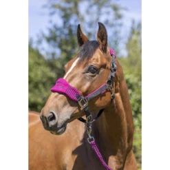 Halsterset LeMieux Vogue Roze-zwart