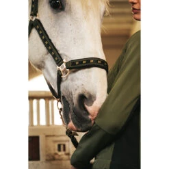 Halsterset N-Brands X Epplejeck Zwart-groen 13 Halsterset N-Brands X Epplejeck Zwart-groen -Weath Paard Winkel halsterset n brands x epplejeck zwart groen 1500x1500 180877