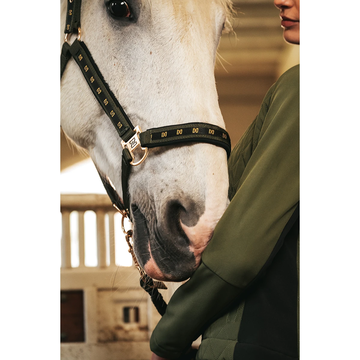 Halsterset N-Brands X Epplejeck Zwart-groen 7 Halsterset N-Brands X Epplejeck Zwart-groen - Afbeelding 7