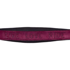 Halsterset QHP Astana Rood -Weath Paard Winkel halsterset qhp astana rood 1500x1500 159108