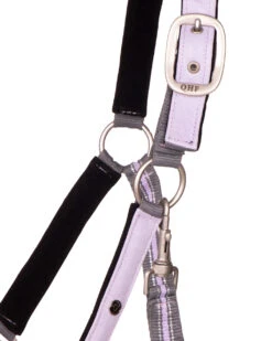 Halsterset QHP Turnout Collection Lichtpaars -Weath Paard Winkel halsterset qhp turnout collection lichtpaars 1500x1500 174985