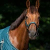 Halsterset QHP Turnout Collection Turquoise