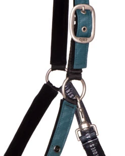 Halsterset QHP Turnout Collection Turquoise -Weath Paard Winkel halsterset qhp turnout collection turquoise 1500x1500 174996