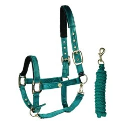 Halsterset SKØL Velvet Donkergroen