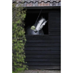 Hayball Epplejeck Apple Groen -Weath Paard Winkel hayball epplejeck apple groen 1500x1500 131798