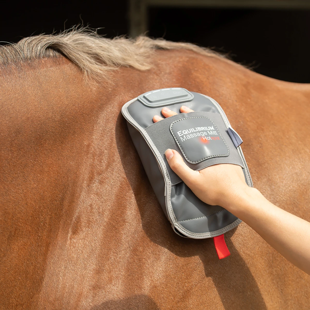 Hot Spot Massage Mitt Equilibrium Grijs 2 Hot Spot Massage Mitt Equilibrium Grijs - Afbeelding 2