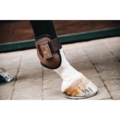 Kogelbeschermers Kentucky Air Bruin -Weath Paard Winkel kogelbeschermers kentucky air bruin 1500x1500 137899