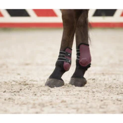 Kogelbeschermers QHP Champion Donkerrood -Weath Paard Winkel kogelbeschermers qhp champion donkerrood 1500x1500 124233