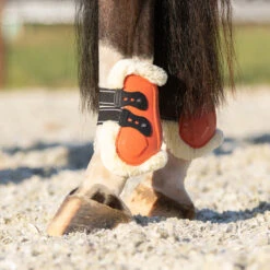 Kogelbeschermers QHP Menton Oranje -Weath Paard Winkel kogelbeschermers qhp menton oranje 1500x1500 186878