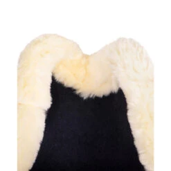 Kogelbeschermers QHP Menton Zwart -Weath Paard Winkel kogelbeschermers qhp menton zwart 1500x1500 186870