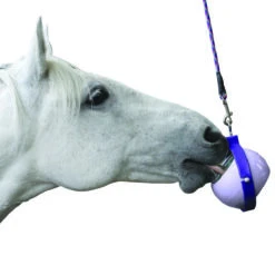 Likit Boredom Buster Paars -Weath Paard Winkel likit boredom buster paars 1500x1500 141515