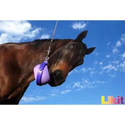 Likit Boredom Buster Paars -Weath Paard Winkel likit boredom buster paars 1500x1500 141516