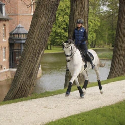 Onderbandages Kentucky Absorb Donkerblauw 5 Onderbandages Kentucky Absorb Donkerblauw -Weath Paard Winkel onderbandages kentucky absorb donkerblauw 1500x1500 137459