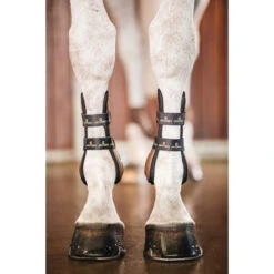 Peesbeschermers Kentucky Elastic Bruin -Weath Paard Winkel peesbeschermers kentucky elastic bruin 1500x1500 137914