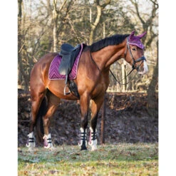 Peesbeschermers QHP Menton Paars -Weath Paard Winkel peesbeschermers qhp menton paars 1500x1500 186862
