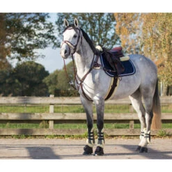 Peesbeschermers QHP Ontario Bruin -Weath Paard Winkel peesbeschermers qhp ontario bruin 1500x1500 120614