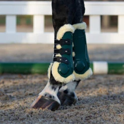 Peesbeschermers QHP Ontario Donkergroen -Weath Paard Winkel peesbeschermers qhp ontario donkergroen 1500x1500 120617